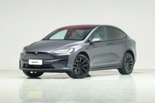 Model X